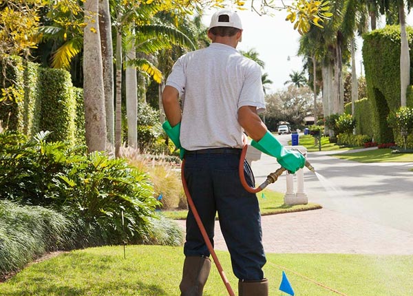 About Boyne City MI Pest Control